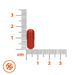 SEMA Lab Fier + Vitamina C, 60 capsule tari AMBALAJ DEPOZITAT