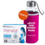 Set Prenatal Uno 30 capsule + DHA, 30 capsule + Sticlă-buttle, 1 bucată gratuită