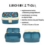 Rex London set, ontbijt lunchdoos + blik, feeën