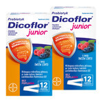 Dicoflor Junior, pentru copii de la 3 ani și adulți, aromă de fructe de pădure, 2 x 12 pliculețe