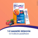 Dicoflor Junior, pentru copii de la 3 ani și adulți, aromă de fructe de pădure, 2 x 12 pliculețe