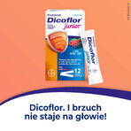 Dicoflor Junior, pentru copii de la 3 ani și adulți, aromă de fructe de pădure, 2 x 12 pliculețe