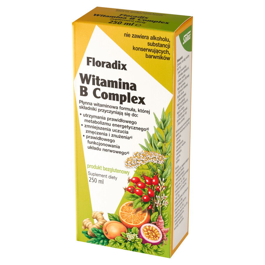 Floradix Complesso di vitamine B, 250 ml