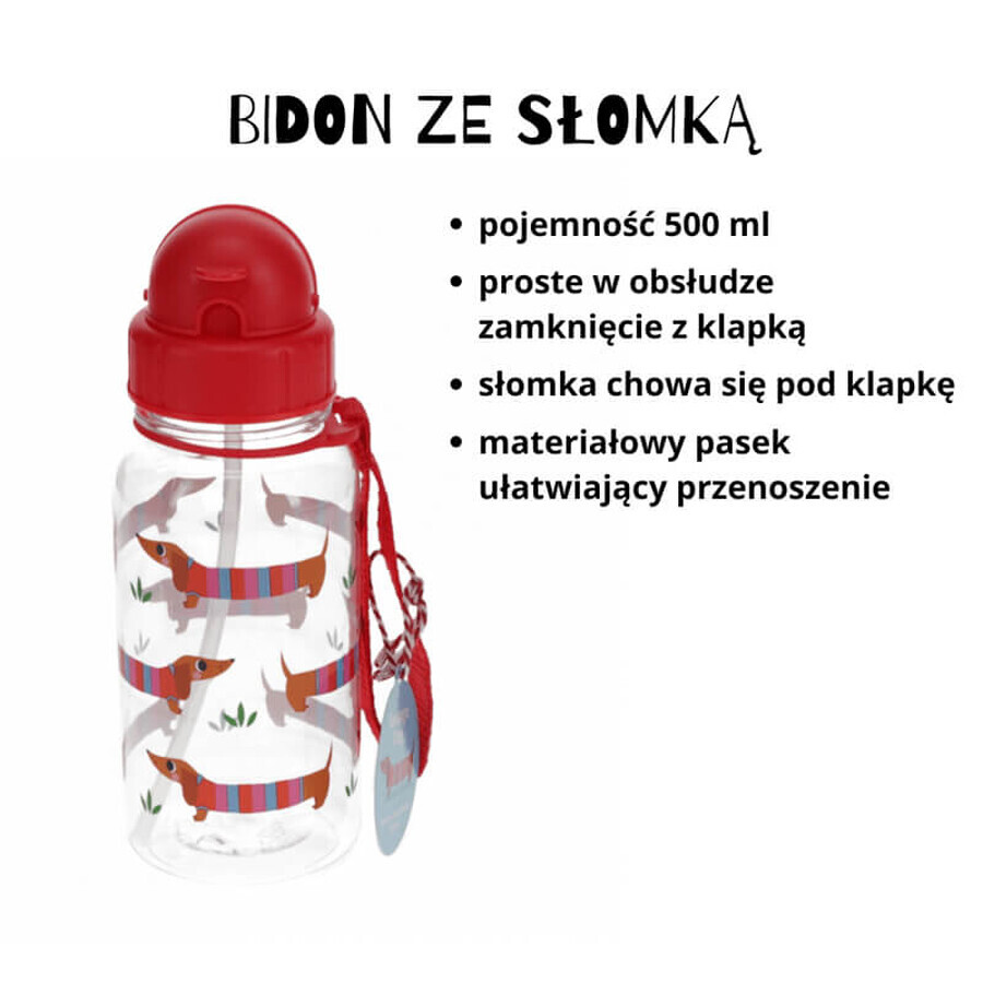 Set Rex London, cutie pentru micul dejun + bidon, teckeli