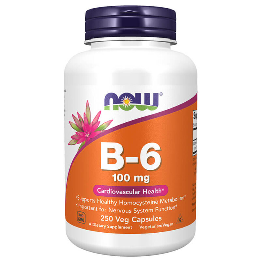 Now Foods B-6, vitamin B6 100 mg, 250 capsules