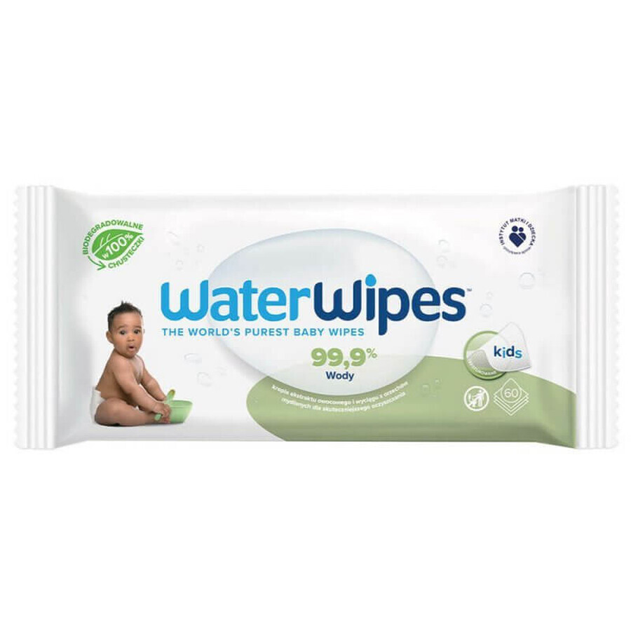 WaterWipes Soapberry Kids Bio, salviette umidificate, acqua con estratto di sapone, dalla nascita, 12 x 60 pz + Ikoo Home, senza spazzola