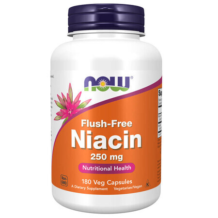 Now Foods Niacin No Flush, Niacin 250 mg, 180 capsules