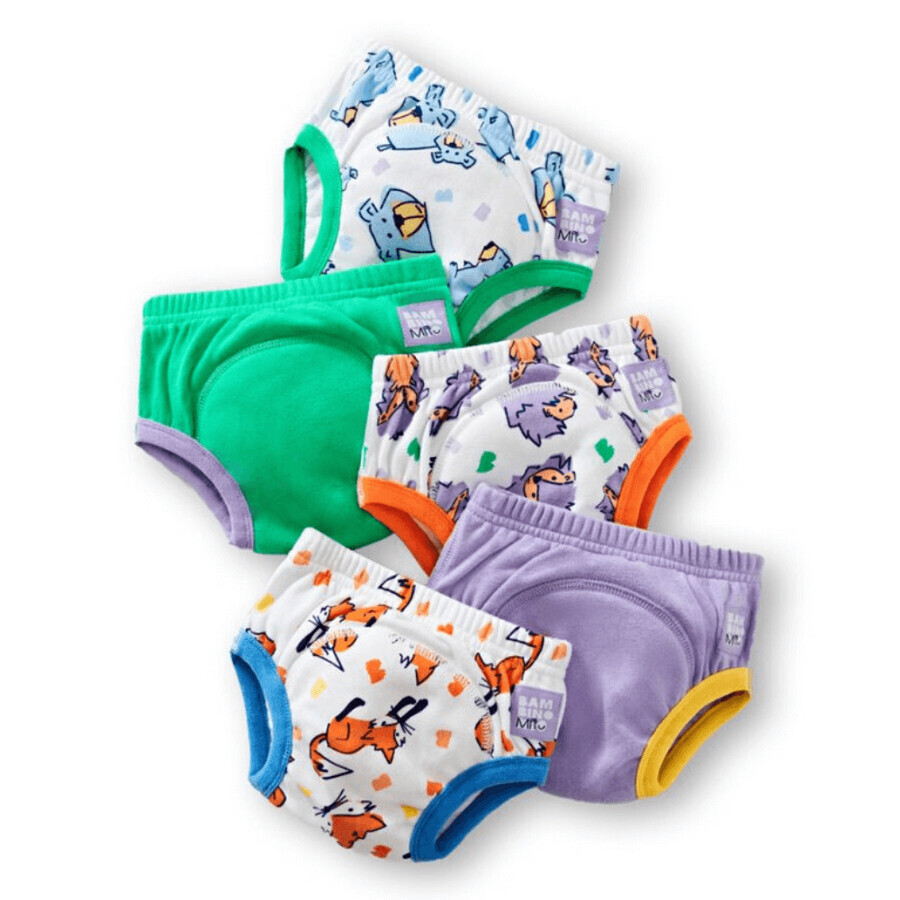 Culotte d'apprentissage de la propreté, 3-4 ans, Bold, 5 pièces, Bambino Mio