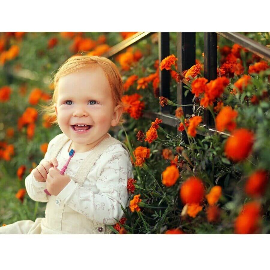 Curaprox Baby, Cepillo de dientes para niños de 0 a 4 años, rosa con cerdas azules