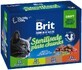 Brit Premium Cat pouch Farfurie sterilizată 12 x 100 g