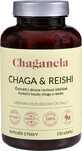 Chaganela Chaga extract cu reishi 150 capsule