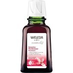 Apa de gură Weleda 50 ml