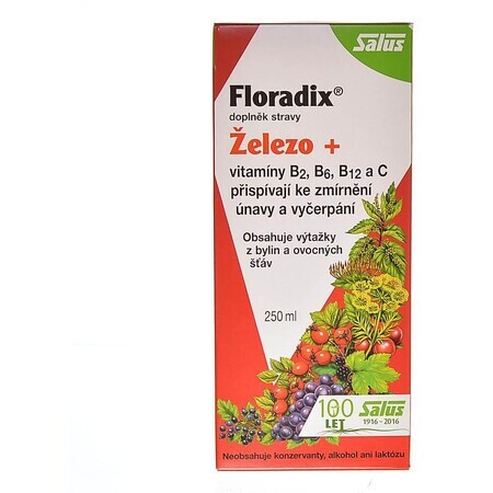 Salus Floradix sirop de plante 250 ml