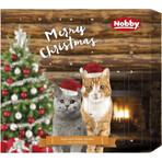 Nobby StarSnack calendar de advent pentru pisici