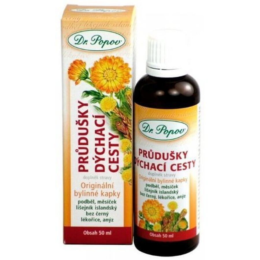 Dr.Popov Calea respiratorie bronșică 50 ml