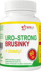 Nutricius Uro-strong merișor + goldenrod 60 comprimate