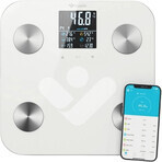 TrueLife FitScale W6 BT cântar personal Bluetooth