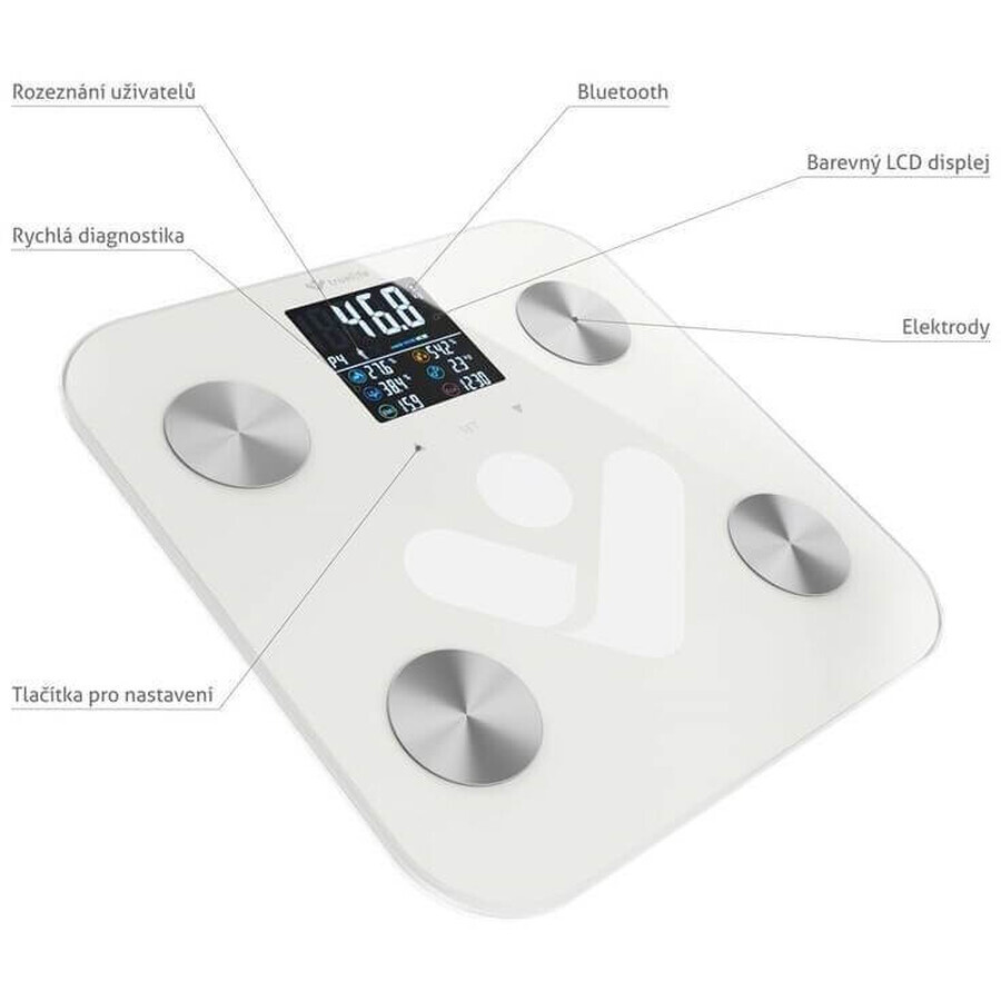 TrueLife FitScale W6 BT cântar personal Bluetooth