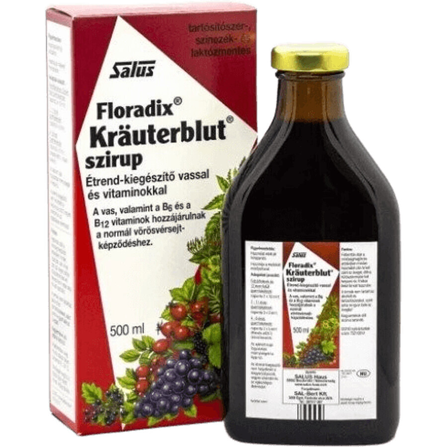 Salus Floradix Kräuterblut sirop cu fier și vitamine 500 ml