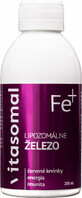 Fier lipozomal vitasomal (fără conservanți 200 ml