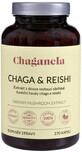 Chaganela Chaga extract cu reishi 270 capsule