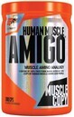 AMIGO&#174; 300 capsule