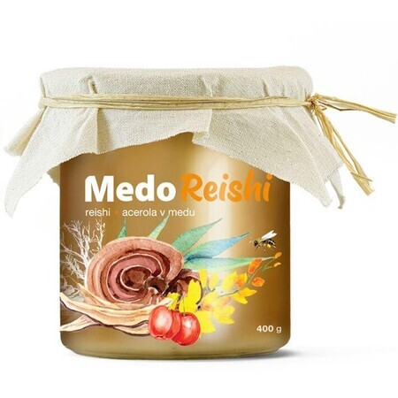 MycoMedica MedoReishi 400 g