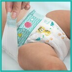 Pampers Active Baby MP+ S5 (11-16 kg) 110 buc