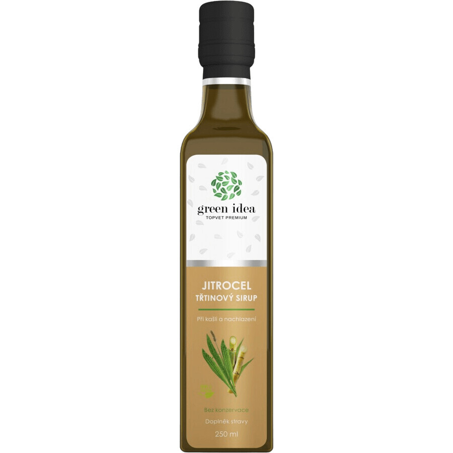 Plante medicinale plantain sirop de trestie în sticlă 250 ml