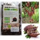 Boabe de cacao Bio, 200g, Managis