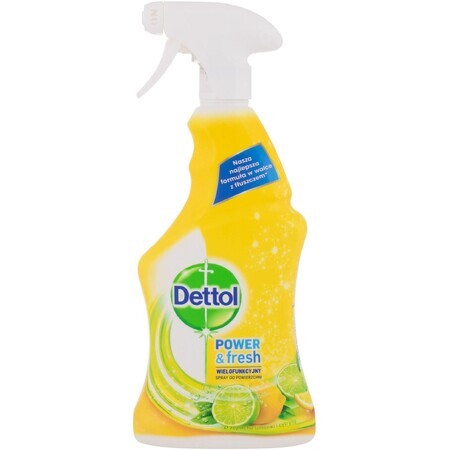 Dettol Antibacterial Surface Spray Lemon and Lime 500 ml