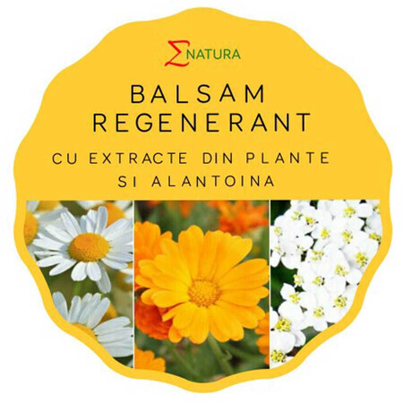 Balsam regenerant, 50 ml, Enatura