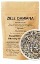 Damiana plantă 50g ZIELARZPOLSKI