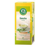 Ceai verde japonez bio in stil Sencha, 20 plicuri, Lebensbaum