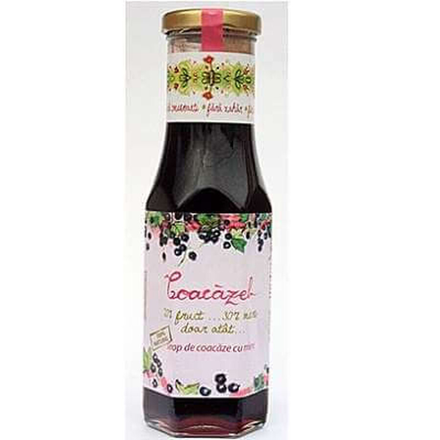 Coacăzel Sirop coacăz negru în miere Eco de salcâm, 230 ml, Prisaca Transilvania