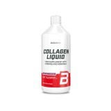 Collagen liquid cu aroma de Fructe de Padure, 1 litru, BioTech USA