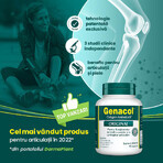 Genacol Colagen Aminolock, 90 capsule, Dermaplant