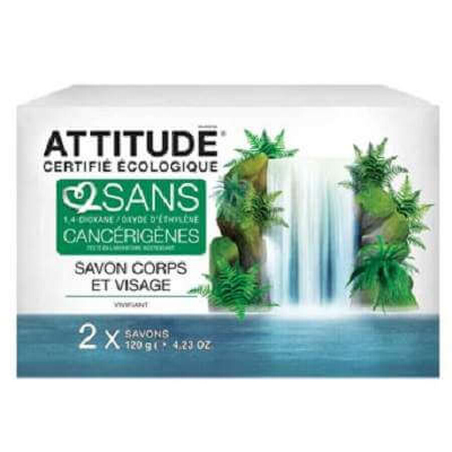 Săpun solid revigorant pentru față și corp, 2 bucăți, 240 g, Attitude