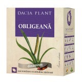 Ceai de Obligeană, 50g Dacia Plant