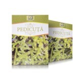 Ceai de Pedicuta, 50 g, Stef Mar Valcea