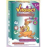 Vitalact Immunity Junior, +1 an, 400 g, Bloef