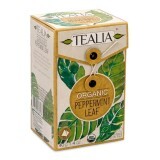 Ceai organic din frunza de mentă (80120-6), 20 plicuri, Tealia