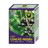 Ceai Coacaz-negru, 100 g, Hypericum