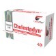 Cholestadyn, 40 capsule, FarmaClass