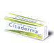 Cicaderma