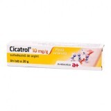 Cicatrol pasta cutanata 10 mg/g, 20 g, Antibiotice SA