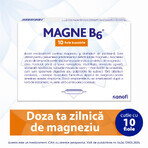 Magne B6 solutie orala 100 mg/10 mg, 10 fiole, Sanofi