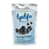 Coacaze negre liofilizate Lyolife, 30 g, Lifesense