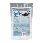 Coacaze negre liofilizate Lyolife, 30 g, Lifesense