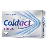 Coldact Sinus 500mg/30mg, 20 comprimate filmate, Terapia